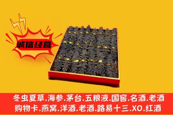 西乌珠穆沁旗回收海参